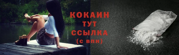 твердый Кулебаки