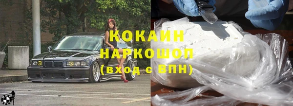 шишки Мурманск