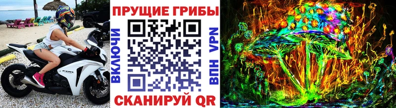 mega tor  Ижевск  Галлюциногенные грибы мицелий 