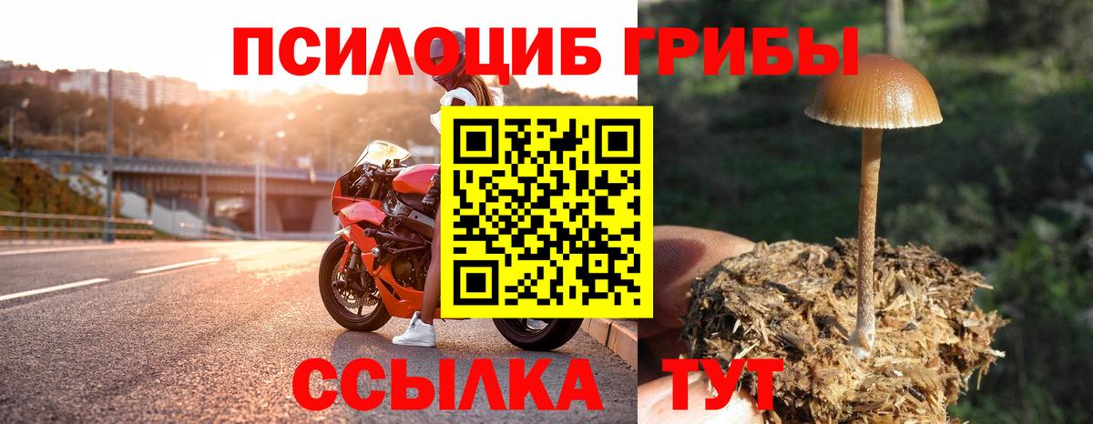 Галлюциногенные грибы Cubensis  Вход с VPN  Ижевск 